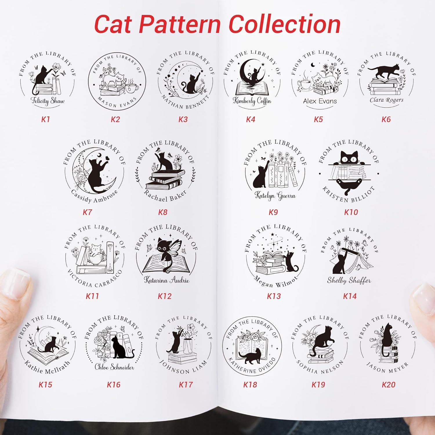 Cat Series